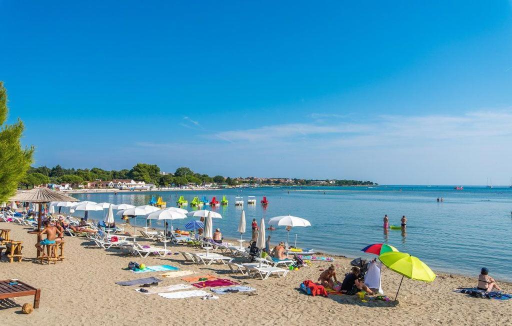 Apartman Vesna